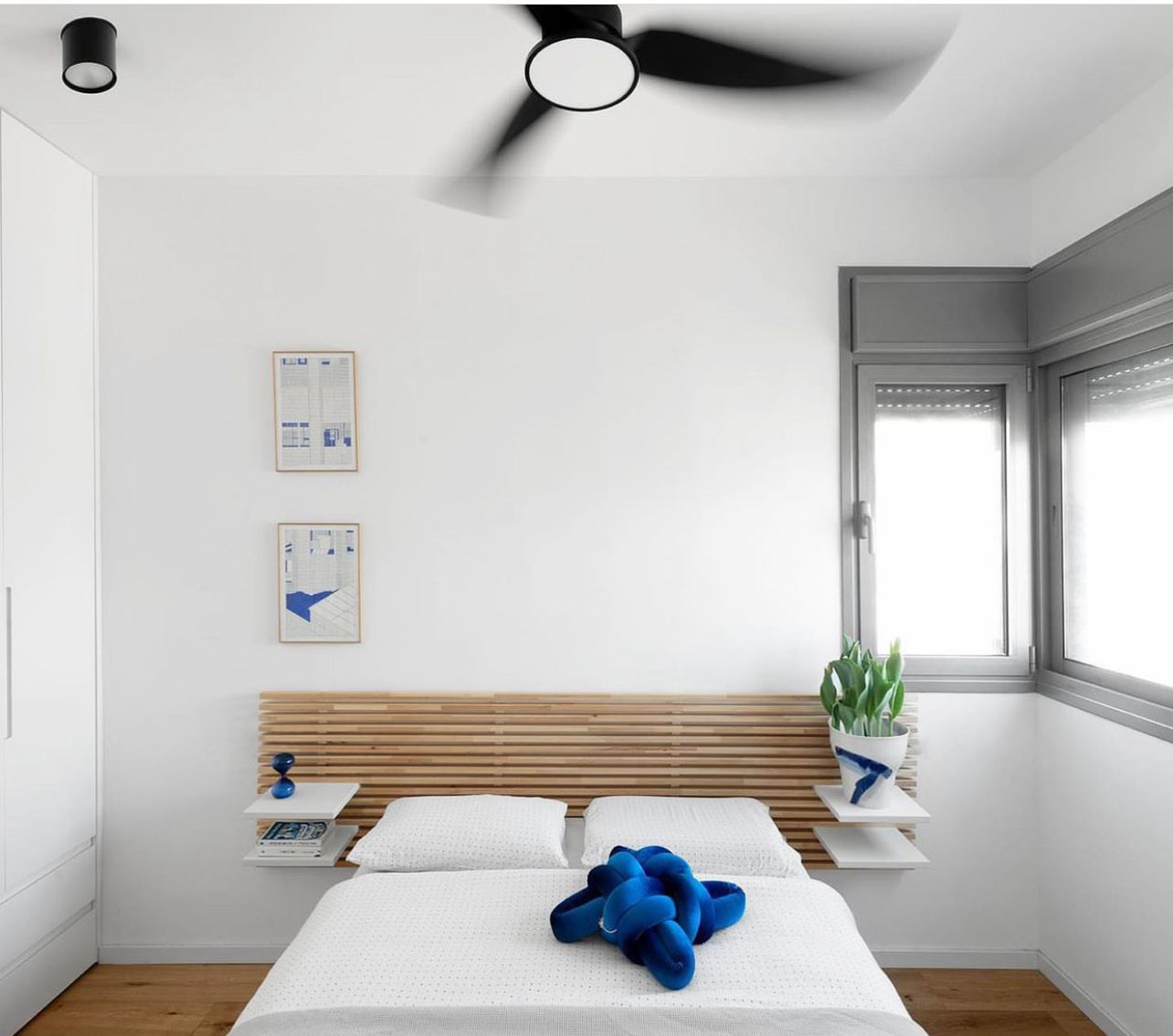 Limon Arc Architect- Israel