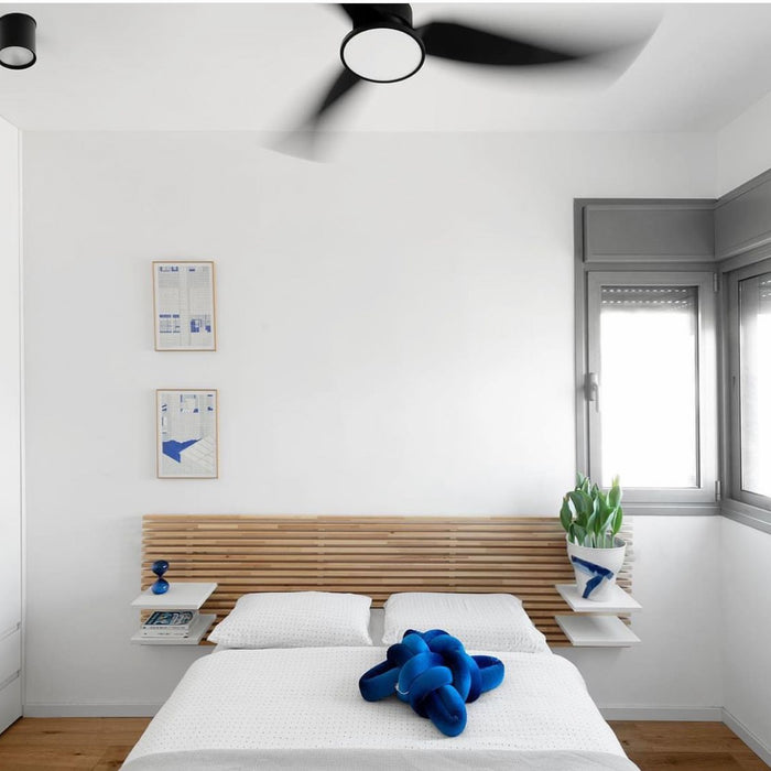 Limon Arc Architect- Israel